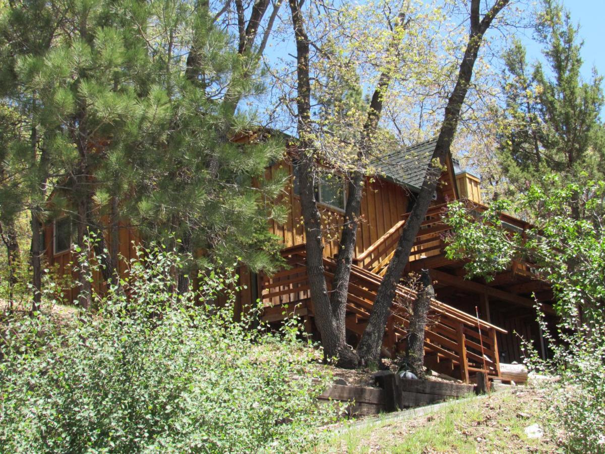 Hillside Hideaway -View Of Ski Slope From Charming Deck Биг Бэар Лейк Экстерьер фото