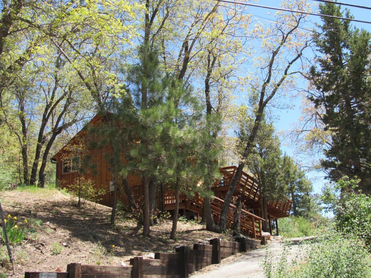 Hillside Hideaway -View Of Ski Slope From Charming Deck Биг Бэар Лейк Экстерьер фото